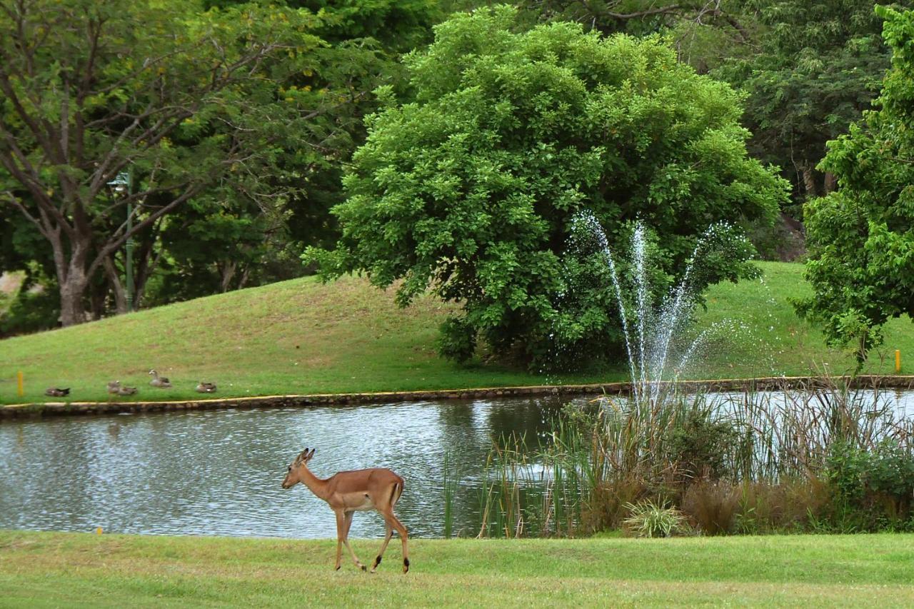 Kruger Park Lodge Unit No. 610B Hazyview Esterno foto